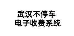 武汉不停车电子收费系统