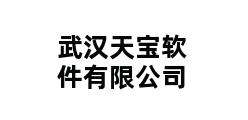 武汉天宝软件有限公司