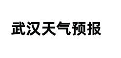 武汉天气预报