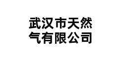 武汉市天然气有限公司