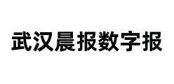 武汉晨报数字报