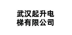 武汉起升电梯有限公司