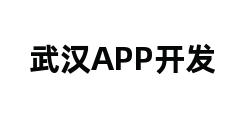 武汉APP开发