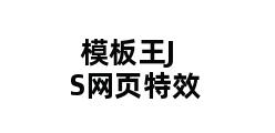 模板王JS网页特效