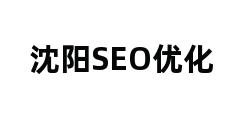 沈阳SEO优化 