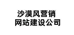 沙漠风营销网站建设公司