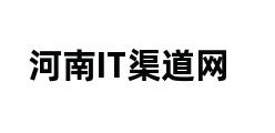 河南IT渠道网