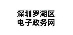 深圳罗湖区电子政务网