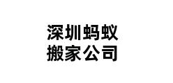 深圳蚂蚁搬家公司