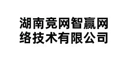 湖南竞网智赢网络技术有限公司