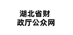 湖北省财政厅公众网