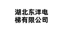 湖北东洋电梯有限公司