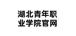 湖北青年职业学院官网