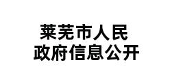 莱芜市人民政府信息公开