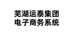 芜湖运泰集团电子商务系统