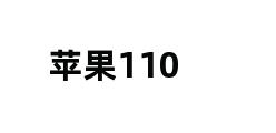 苹果110