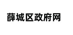 薛城区政府网