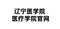 辽宁医学院医疗学院官网