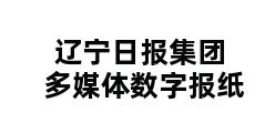 辽宁日报集团多媒体数字报纸