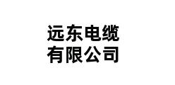 远东电缆有限公司