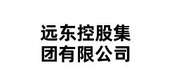 远东控股集团有限公司