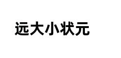 远大小状元