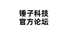 锤子科技官方论坛