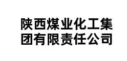 陕西煤业化工集团有限责任公司