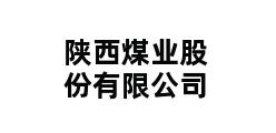 陕西煤业股份有限公司