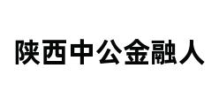 陕西中公金融人