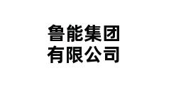 鲁能集团有限公司