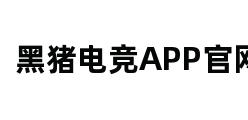 黑猪电竞APP官网 