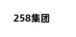 258集团