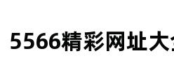 5566精彩网址大全