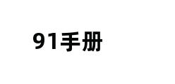 91手册