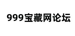 999宝藏网论坛