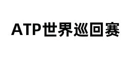 ATP世界巡回赛