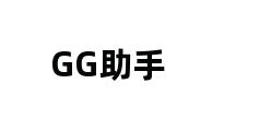 GG助手