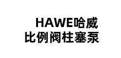 HAWE哈威比例阀柱塞泵