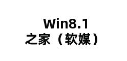 Win8.1之家（软媒）