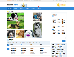 狗民网狗狗品种大全